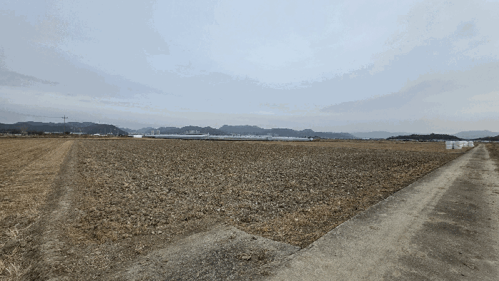 부산 강서구 죽동동 답 경매 물건 사진 5 · 2026타경100128