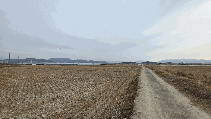 부산 강서구 죽동동 답 경매 물건 사진 6 · 2026타경100128