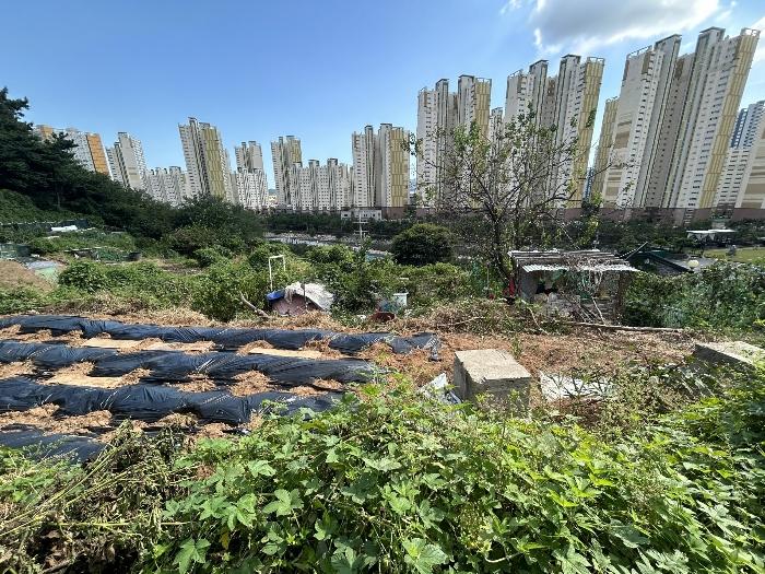 경남 창원시 진해구 용원동 전 경매 물건 사진 4 · 2024타경110742