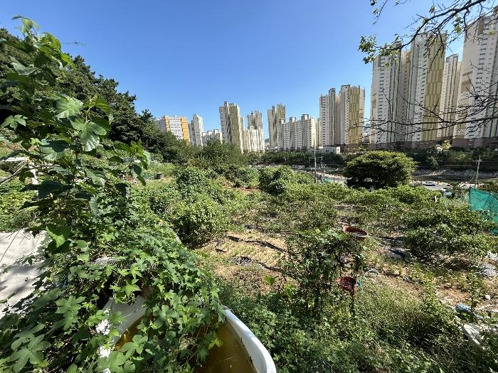 경남 창원시 진해구 용원동 전 경매 물건 사진 6 · 2024타경110742