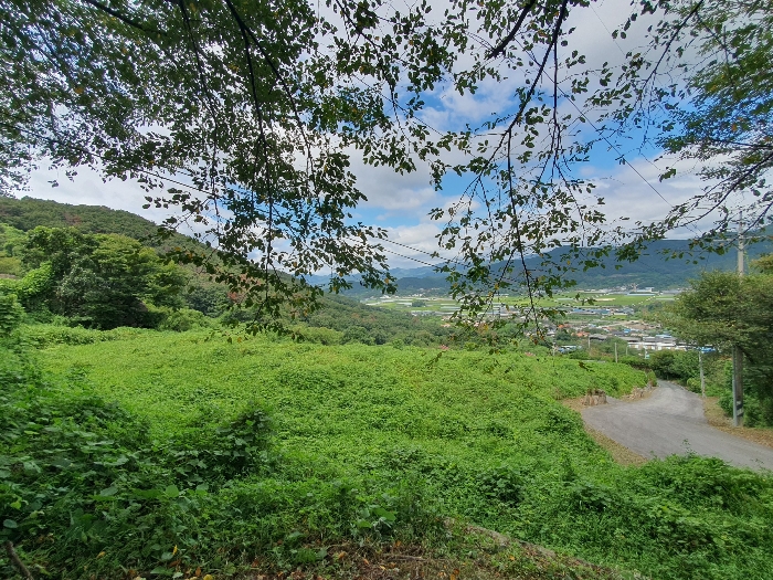 경상남도 김해시 생림면 생철리 1324-8 임야 경매 물건 사진