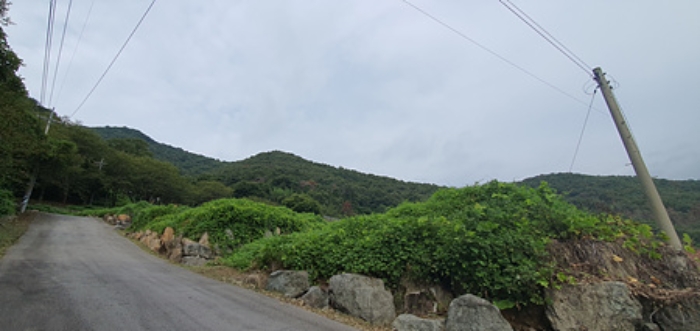 경남 김해시 생림면 임야 경매 물건 사진