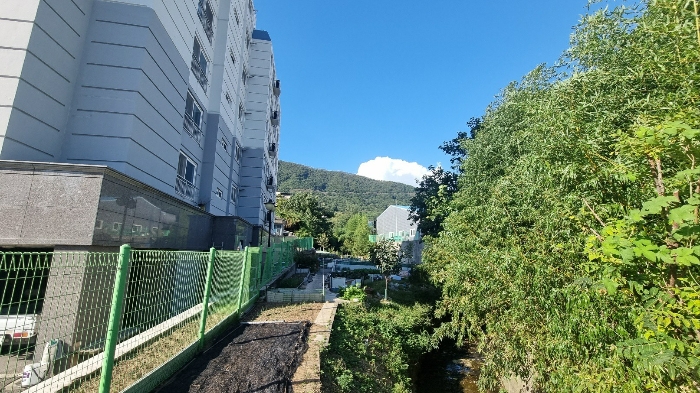 경상남도 창원시 진해구 경화동 881-1 전 경매 물건 사진