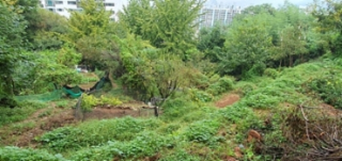 경남 김해시 외동 묘지 경매 물건 사진 6 · 2024타경113154