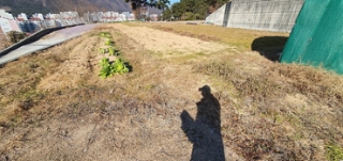 경남 김해시 구산동 전 경매 물건 사진 3 · 2024타경117361
