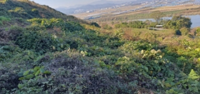 경남 김해시 한림면 임야 경매 물건 사진