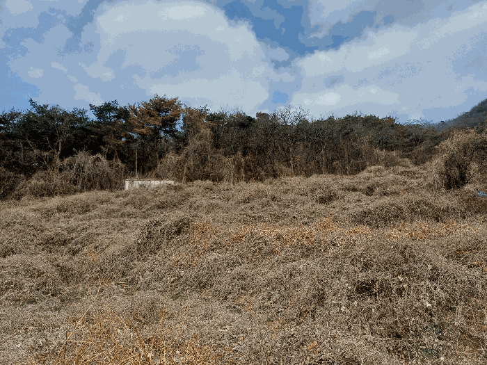 경남 김해시 한림면 전 경매 물건 사진 5 · 2025타경11047
