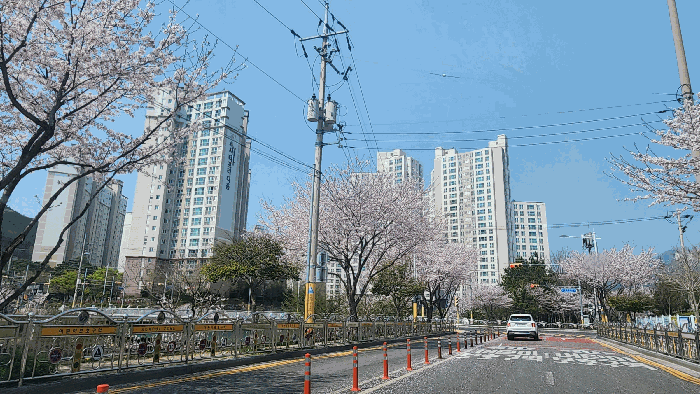 경남 창원시 진해구 남문동 아파트 경매 물건 사진 4 · 2025타경11215
