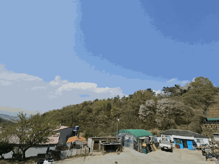 경남 김해시 한림면 임야 경매 물건 사진 5 · 2025타경11273