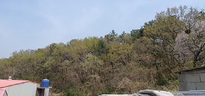 경남 김해시 한림면 임야 경매 물건 사진