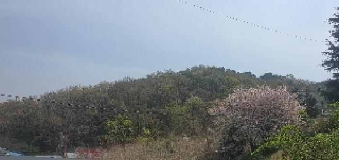 경남 김해시 한림면 임야 경매 물건 사진 2 · 2025타경11273