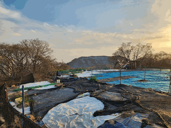 경남 창원시 진해구 안골동 전 경매 물건 사진 4 · 2025타경11276