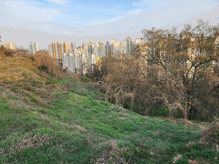 경남 창원시 진해구 안골동 전 경매 물건 사진 5 · 2025타경11276