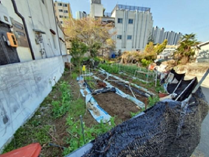 경남 창원시 진해구 풍호동 대지 경매 물건 사진 4 · 2025타경11289