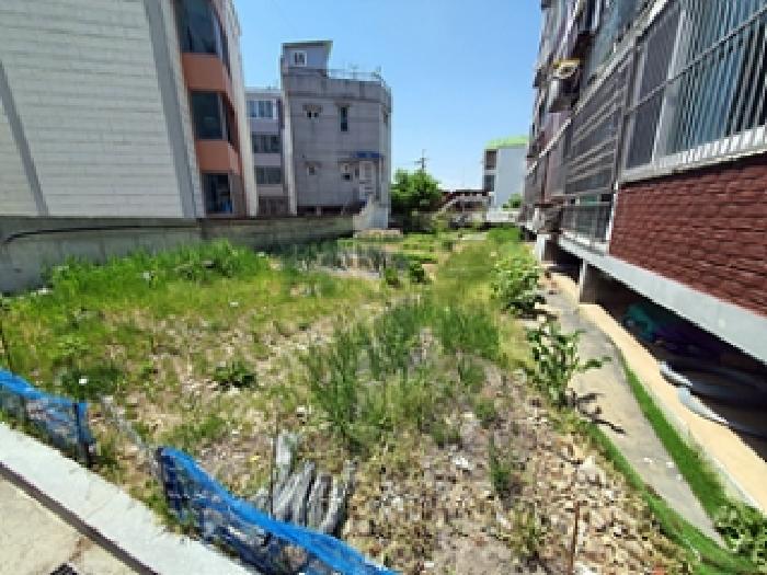 경남 창원시 진해구 자은동 답 경매 물건 사진 3 · 2025타경11360