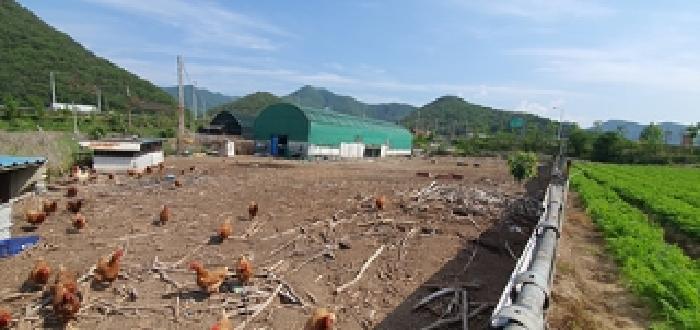 경남 김해시 상동면 답 경매 물건 사진 4 · 2025타경11469