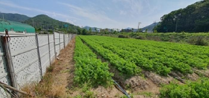 경남 김해시 상동면 답 경매 물건 사진 5 · 2025타경11469