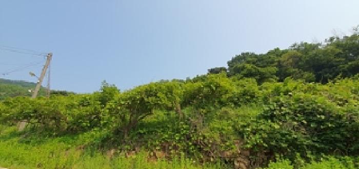 경남 김해시 진례면 창고시설 경매 물건 사진 5 · 2025타경11497
