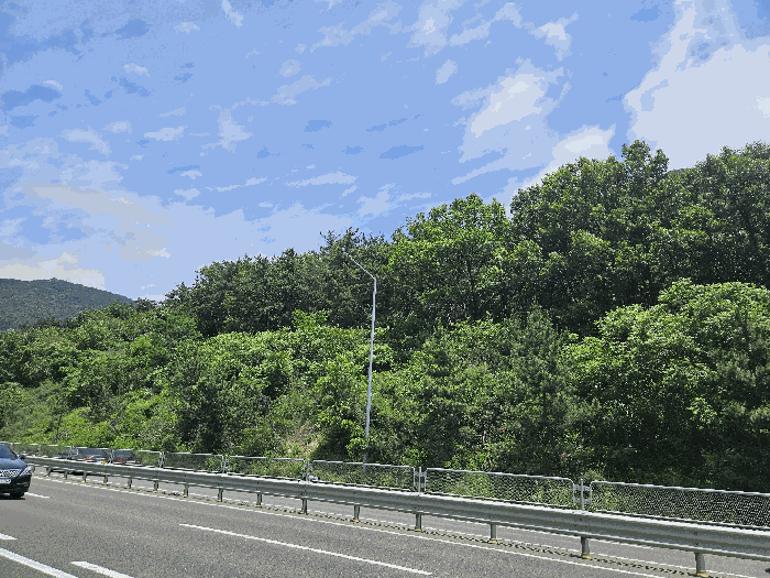 경상남도 창원시 성산구 토월동 산37 임야 경매 물건 사진