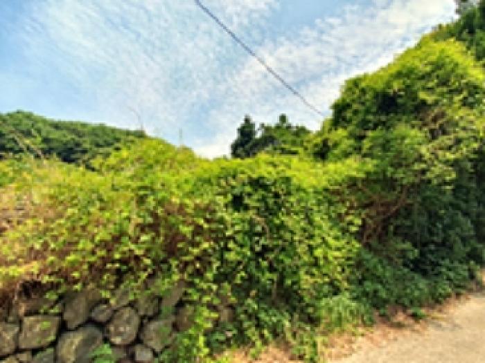 경남 창원시 진해구 행암동 대지 경매 물건 사진 2 · 2025타경11664