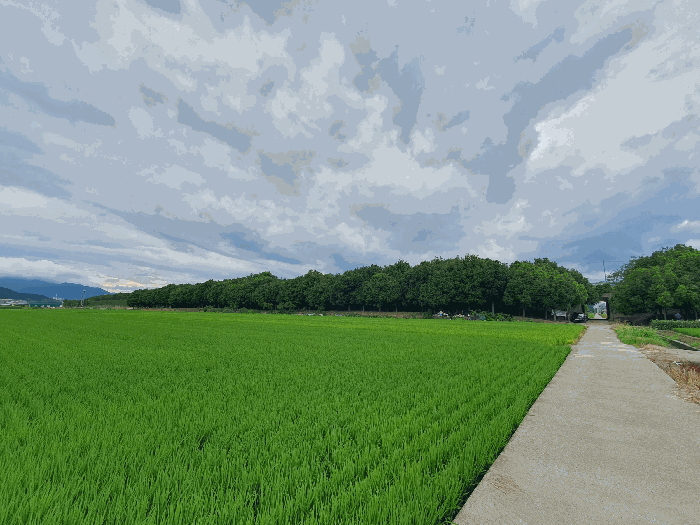 경남 김해시 전하동 답 경매 물건 사진 5 · 2025타경11729