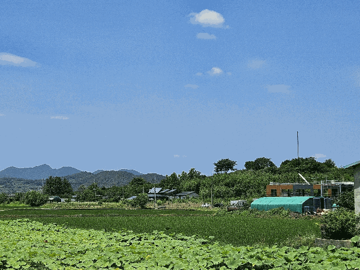 경남 창원시 의창구 대산면 답 경매 물건 사진 5 · 2025타경11733