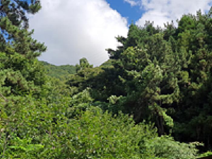 경남 창원시 진해구 가주동 전답 경매 물건 사진
