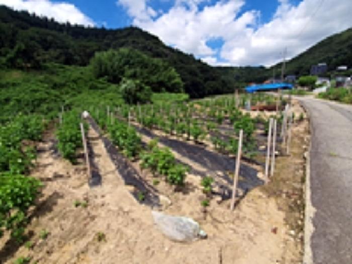 경남 창원시 진해구 가주동 전답 경매 물건 사진 3 · 2025타경11739