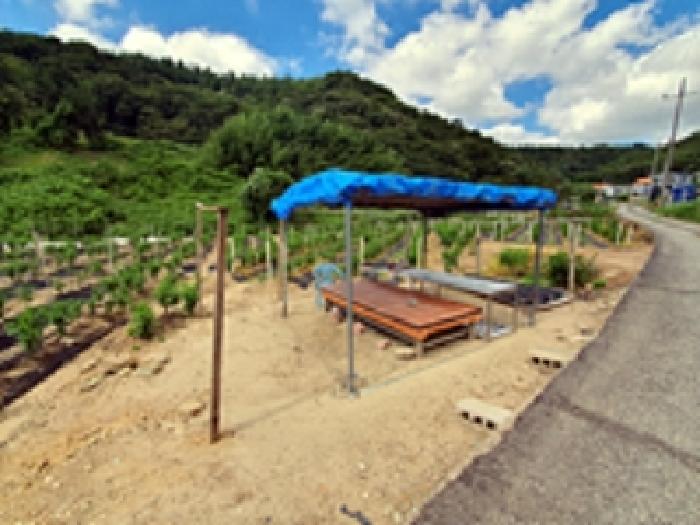 경남 창원시 진해구 가주동 전답 경매 물건 사진 4 · 2025타경11739