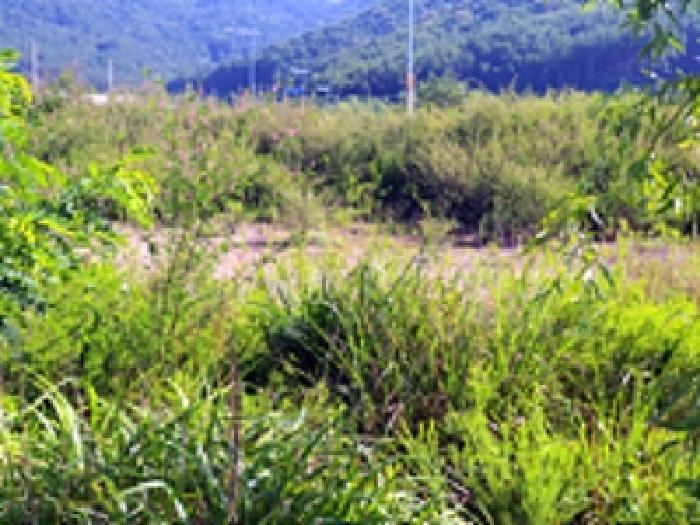 경남 창원시 진해구 두동 대지 경매 물건 사진 2 · 2025타경11747