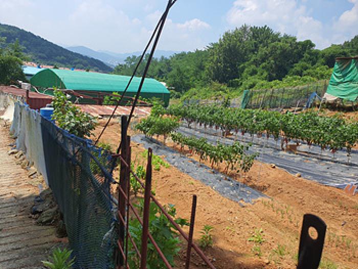 경남 김해시 주촌면 전 경매 물건 사진 2 · 2025타경11748