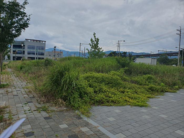 경남 김해시 진례면 대지 경매 물건 사진 2 · 2025타경11781