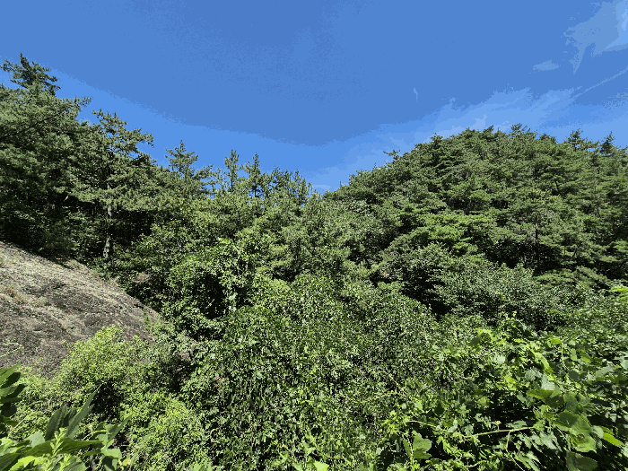 경남 김해시 한림면 임야 경매 물건 사진 4 · 2025타경11797