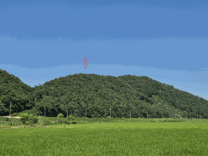경남 김해시 한림면 임야 경매 물건 사진 6 · 2025타경11797