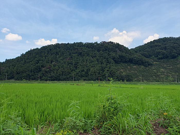 경남 김해시 한림면 임야 경매 물건 사진