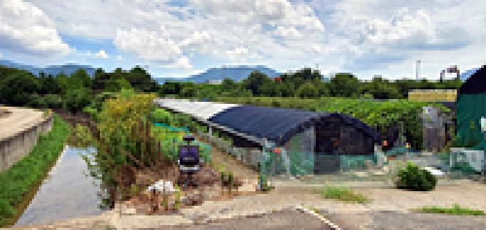 경남 김해시 대동면 답 경매 물건 사진 2 · 2025타경11821