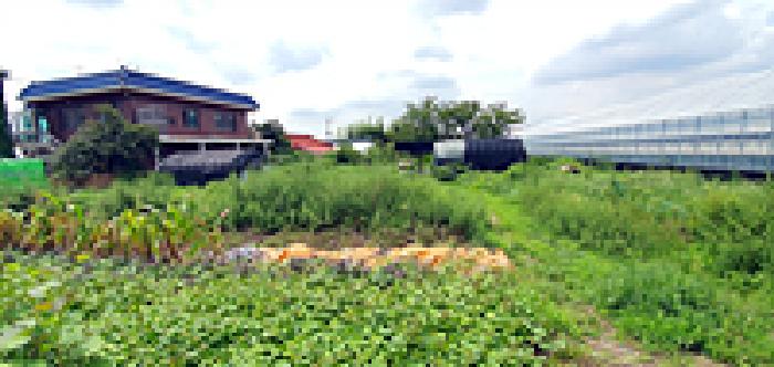 경남 김해시 대동면 답 경매 물건 사진 4 · 2025타경11821