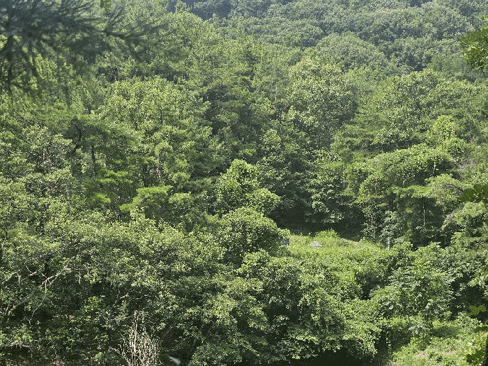 경남 김해시 삼계동 임야 경매 물건 사진 6 · 2025타경11841