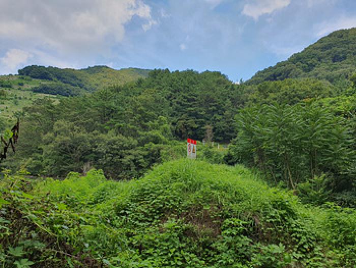 경남 김해시 삼계동 임야 경매 물건 사진