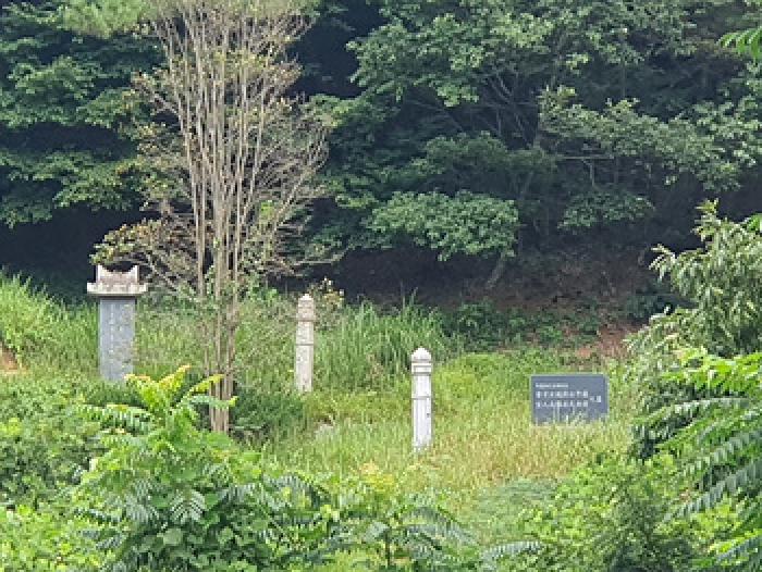 경남 김해시 삼계동 임야 경매 물건 사진 2 · 2025타경11841