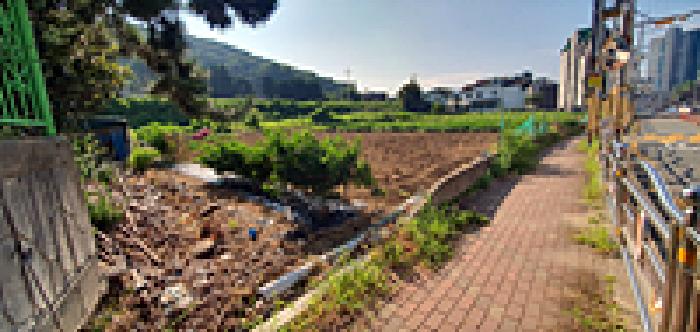 경남 창원시 진해구 마천동 답 경매 물건 사진