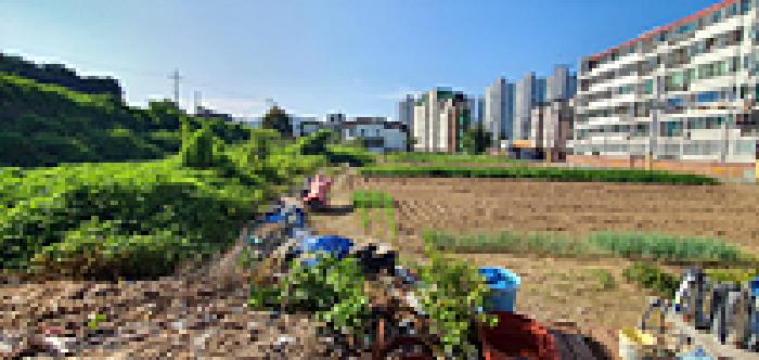 경남 창원시 진해구 마천동 답 경매 물건 사진 2 · 2025타경11885