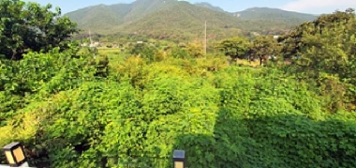 경남 김해시 상동면 전 경매 물건 사진