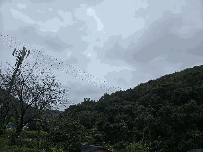 경남 김해시 생림면 임야 경매 물건 사진 2 · 2025타경11997