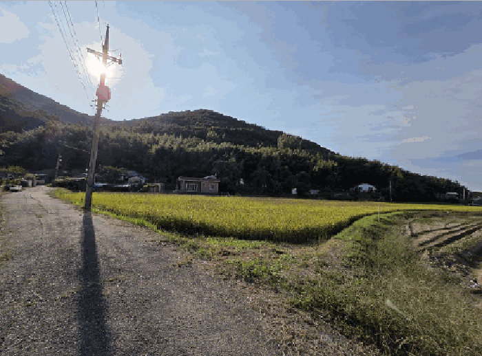 경남 김해시 생림면 전 경매 물건 사진 6 · 2025타경12065