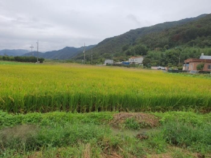 경남 김해시 생림면 전 경매 물건 사진