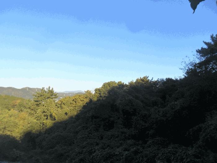경남 창원시 의창구 동읍 임야 경매 물건 사진