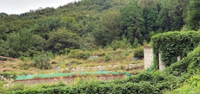 경남 창원시 진해구 두동 도로 경매 물건 사진 4 · 2025타경12133