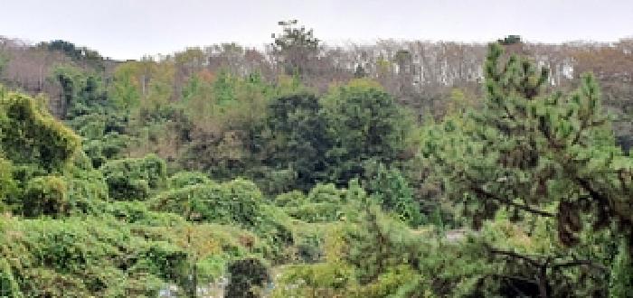 경남 창원시 진해구 장천동 전답 경매 물건 사진 2 · 2025타경12156