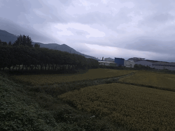 경남 김해시 진례면 전답 경매 물건 사진 3 · 2025타경12194